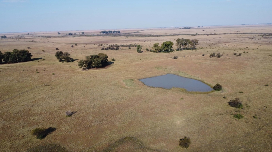 0 Bedroom Property for Sale in Koppies Rural Free State